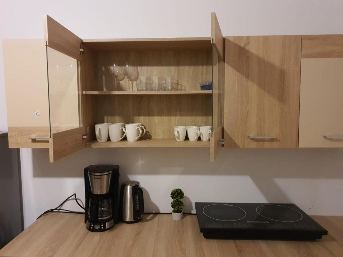 Apartament Enescu Тимишоара Екстериор снимка