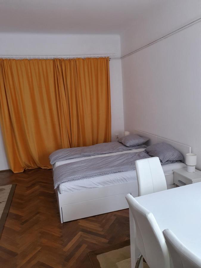Apartament Enescu Тимишоара Екстериор снимка