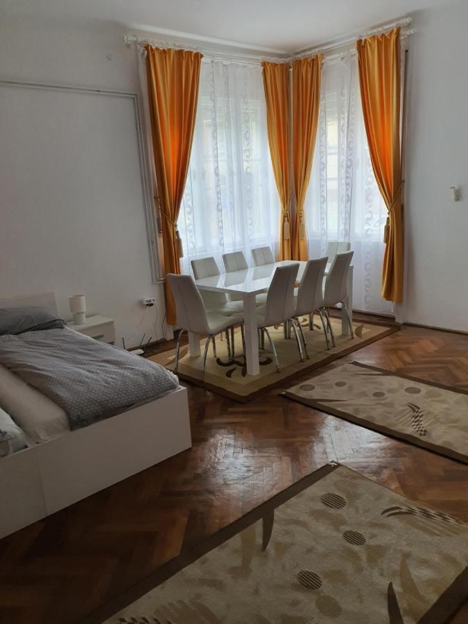 Apartament Enescu Тимишоара Екстериор снимка